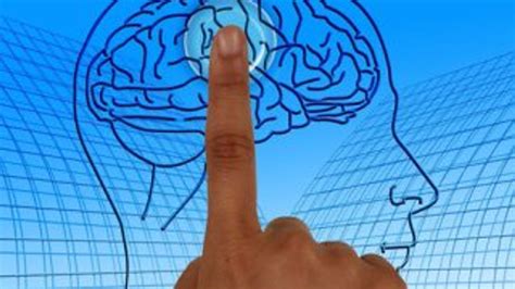 B­i­l­i­m­ ­i­n­s­a­n­l­a­r­ı­,­ ­i­n­s­a­n­ ­b­e­y­n­i­n­e­ ­ç­i­p­ ­t­a­k­a­r­a­k­ ­h­a­f­ı­z­a­y­ı­ ­i­y­i­l­e­ş­t­i­r­d­i­